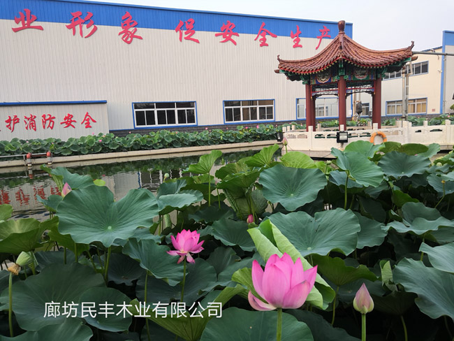 廠(chǎng)區一角